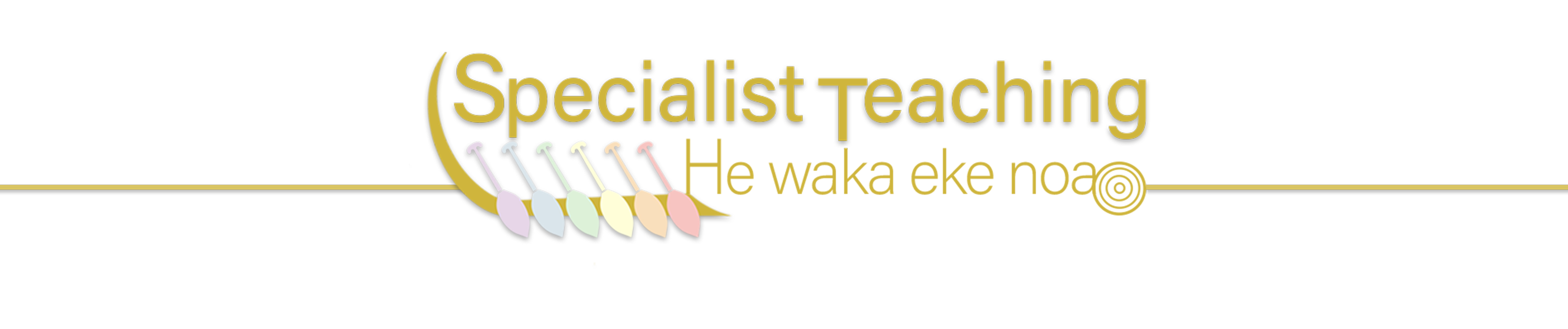 Specialistic teaching